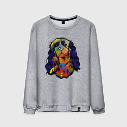 Свитшот хлопковый мужской Берегись кавалер кинг спаниеля, цвет: меланж