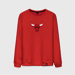 Свитшот хлопковый мужской CHICAGO BULLS, цвет: красный