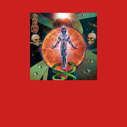 Свитшот хлопковый мужской GONE Fludd VOODOO CHILD, цвет: красный — фото 2