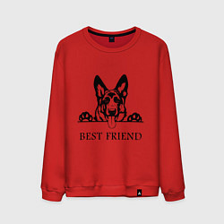 Свитшот хлопковый мужской ОВЧАРКА BEST FRIEND Z, цвет: красный