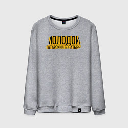 Свитшот хлопковый мужской Татарский богатырь, цвет: меланж