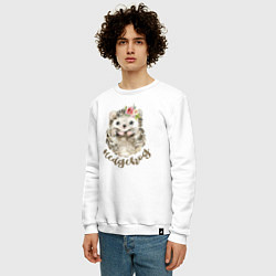 Свитшот хлопковый мужской Hedgehog, цвет: белый — фото 2