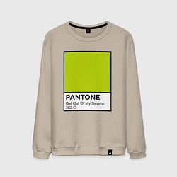 Свитшот хлопковый мужской Shrek: Pantone Color, цвет: миндальный