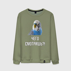Свитшот хлопковый мужской Чего смотришь!?, цвет: авокадо