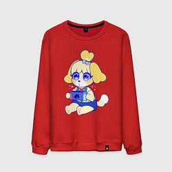 Мужской свитшот Изабелль