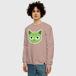 Свитшот хлопковый мужской Green Cat, цвет: пыльно-розовый — фото 2