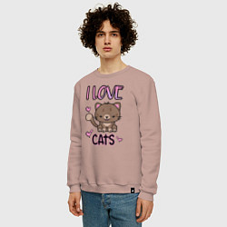 Свитшот хлопковый мужской I Love Cats, цвет: пыльно-розовый — фото 2