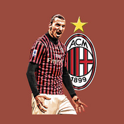 Свитшот хлопковый мужской Zlatan Ibrahimovic Milan Italy, цвет: кирпичный — фото 2