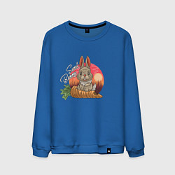 Свитшот хлопковый мужской Sweet Bunny, цвет: синий