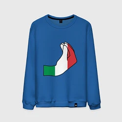 Свитшот хлопковый мужской Италия, цвет: синий