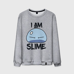 Свитшот хлопковый мужской I AM SLIME, Я СЛИЗЬ, цвет: меланж