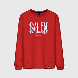 Свитшот хлопковый мужской Salem Massachusetts, цвет: красный