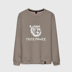 Свитшот хлопковый мужской Power of Tiger, цвет: утренний латте