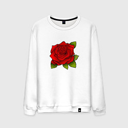 Свитшот хлопковый мужской Красная роза Рисунок, цвет: белый