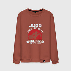 Свитшот хлопковый мужской Judo Weapon, цвет: кирпичный