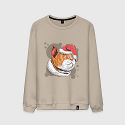 Свитшот хлопковый мужской Christmas Cat, цвет: миндальный