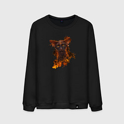 Свитшот хлопковый мужской Дикий кот в огне, цвет: черный