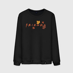 Мужской свитшот Logo Friends