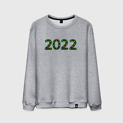 Свитшот хлопковый мужской 2022 Еловые цифры, цвет: меланж