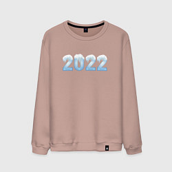 Свитшот хлопковый мужской 2022 Год Снежная Голубая Надпись, цвет: пыльно-розовый