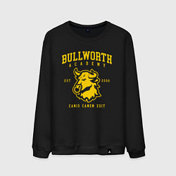 Мужской свитшот Bully Bullworth Academy