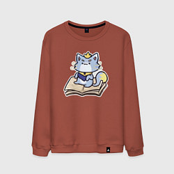 Свитшот хлопковый мужской The Magical Cat Yuumi, цвет: кирпичный