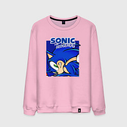 Мужской свитшот Sonic Adventure Sonic