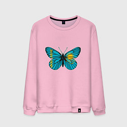 Свитшот хлопковый мужской Бабочка - Казахстан, цвет: светло-розовый