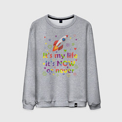 Свитшот хлопковый мужской Its my life Rocket, цвет: меланж