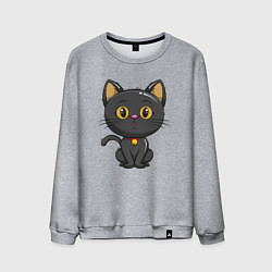 Свитшот хлопковый мужской Черный маленький котенок, цвет: меланж