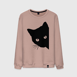 Свитшот хлопковый мужской Всё тот же чёрный котяра!, цвет: пыльно-розовый