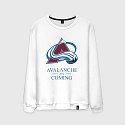 Свитшот хлопковый мужской Colorado Avalanche are coming , Колорадо Эвеланш, цвет: белый