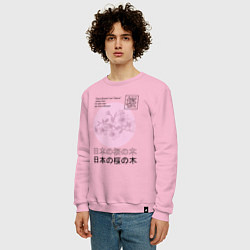 Свитшот хлопковый мужской Sakura in Japanese style, цвет: светло-розовый — фото 2