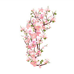 Свитшот хлопковый мужской Весна Цветущая сакура Japan, цвет: белый — фото 2