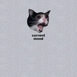 Свитшот хлопковый мужской Current mood, цвет: меланж — фото 2