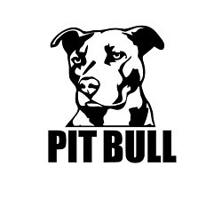 Свитшот хлопковый мужской Pit Bull Power, цвет: белый — фото 2