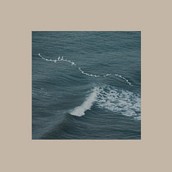 Свитшот хлопковый мужской Everything comes in waves, цвет: миндальный — фото 2