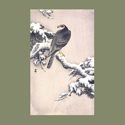 Свитшот хлопковый мужской Goshawk on Snow-covered Pine Bough, цвет: авокадо — фото 2