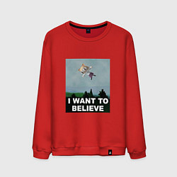 Мужской свитшот Neco Arc want to believe