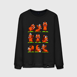 Свитшот хлопковый мужской Йога красной панды, цвет: черный