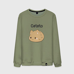 Мужской свитшот Catato cotton