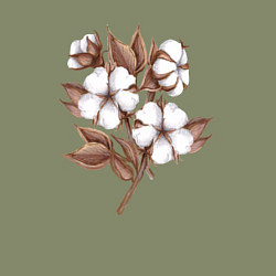 Свитшот хлопковый мужской Цветы хлопка в букете, цвет: авокадо — фото 2