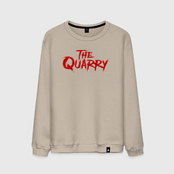 Свитшот хлопковый мужской The Quarry logo, цвет: миндальный