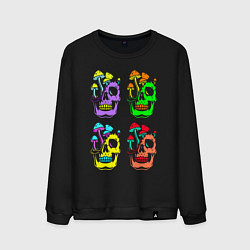 Мужской свитшот Skulls Pop art