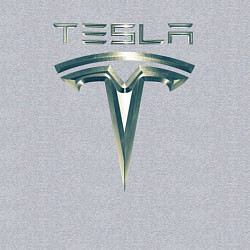 Свитшот хлопковый мужской Tesla Logo Тесла Логотип Карбон, цвет: меланж — фото 2