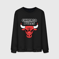 Свитшот хлопковый мужской Chicago Bulls, цвет: черный
