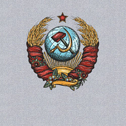 Свитшот хлопковый мужской Серп и молот СССР, цвет: меланж — фото 2