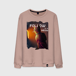 Свитшот хлопковый мужской STRAY FOLLOW MEOW, цвет: пыльно-розовый