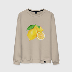 Свитшот хлопковый мужской Сочные лимоны, цвет: миндальный