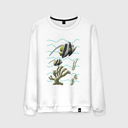 Свитшот хлопковый мужской Морская тематика Рыбки Морские обитатели Коралл,во, цвет: белый
